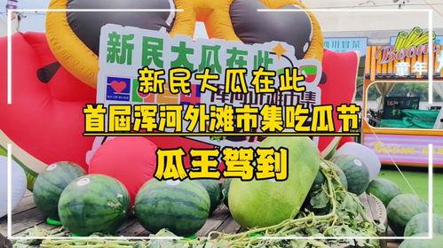 每日吃瓜大赛入口汇聚地,汇聚地揭秘，瓜界风云再起