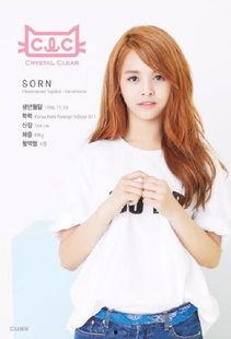 sorn资料,揭秘神秘宇宙的未知领域